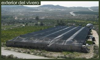 Exterior vivero