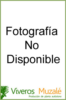 no disponible