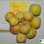 Albaricoque Hueso Dulce