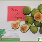 higuera talon muerto