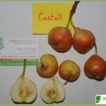 pera castell