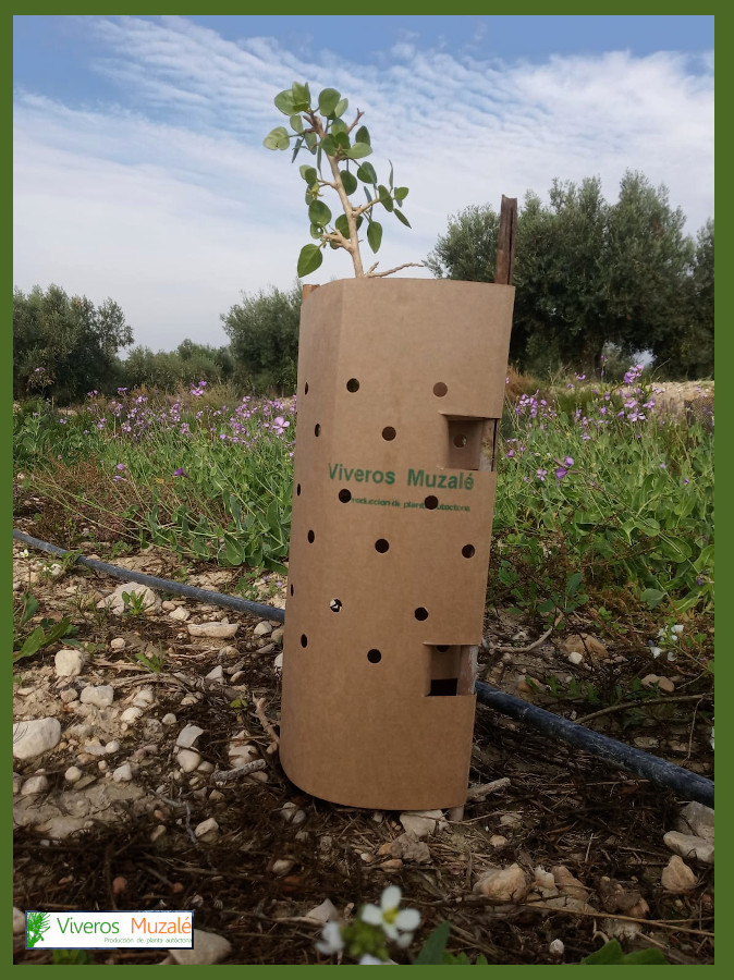 Protectores-004